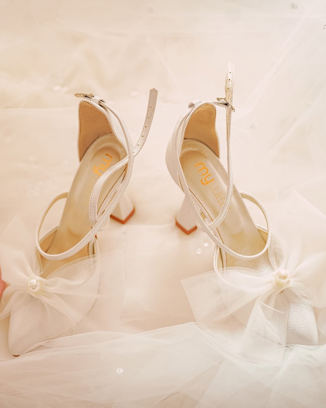 Linia Classica